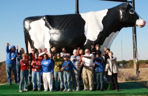 Big Cow Image